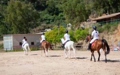 El Centro Ecuestre de Ceuta clausura temporalmente sus instalaciones
